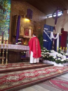 p7.jpg