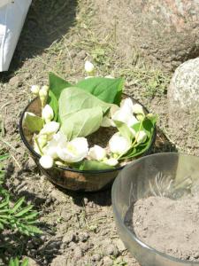 image014.jpg