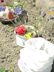 image015.jpg