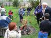 image065_t1.jpg