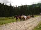Chochołowska
