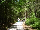 Wiktorówki