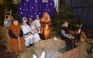 Żywa szkopka