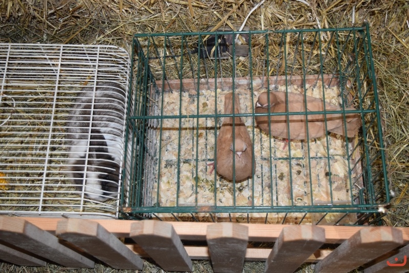 przygotowania