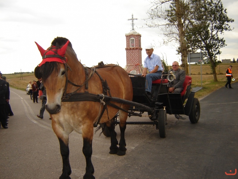 Dożynki