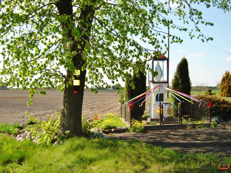 Trąbin Rumunki
