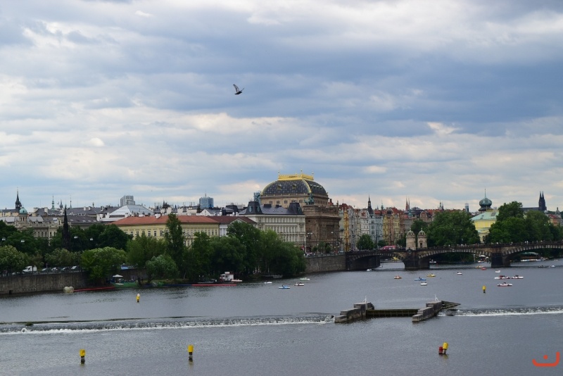 Dzień 3