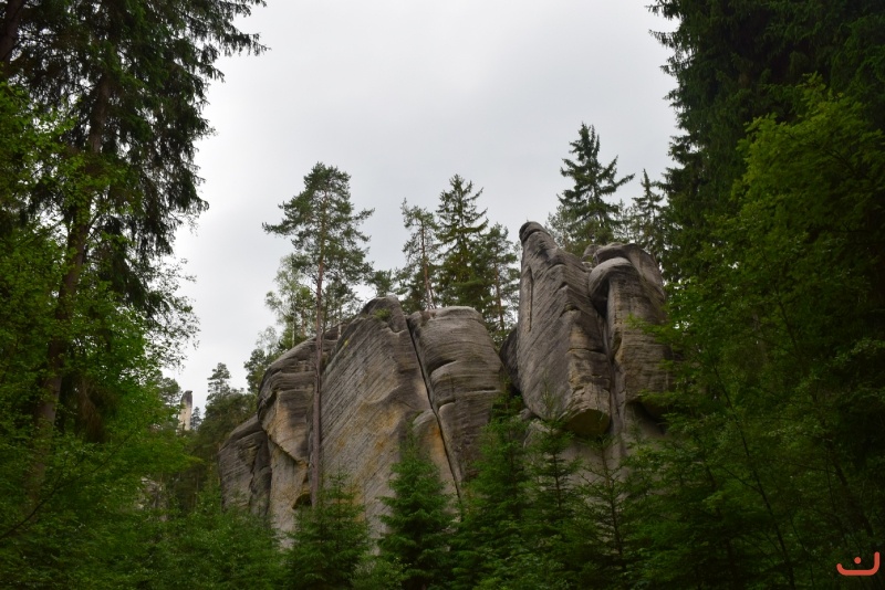 Dzień 4