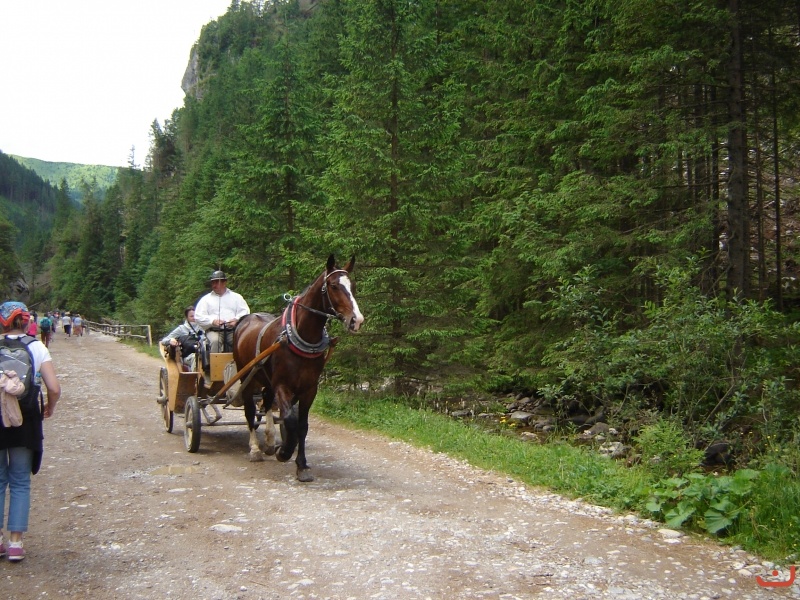 Chochołowska