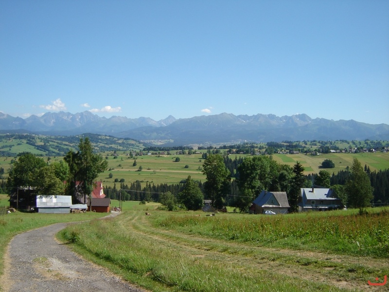 Wiktorówki